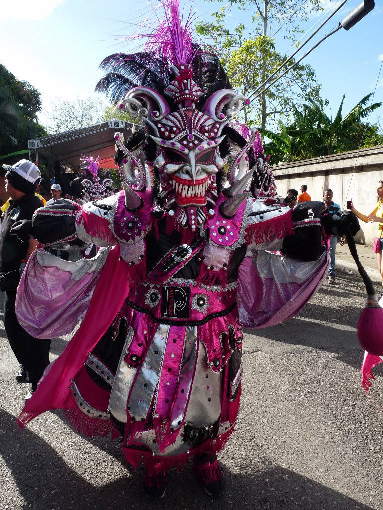 Carnaval Vegano 2014