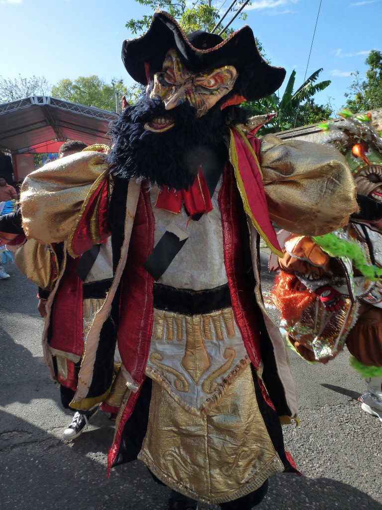 Carnaval Vegano 2014