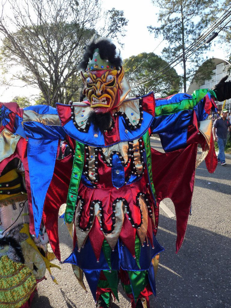 Carnaval Vegano 2014