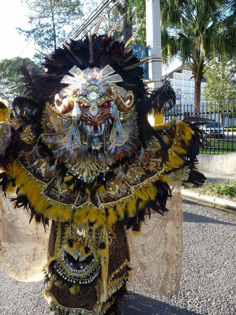 Carnaval Vegano 2014