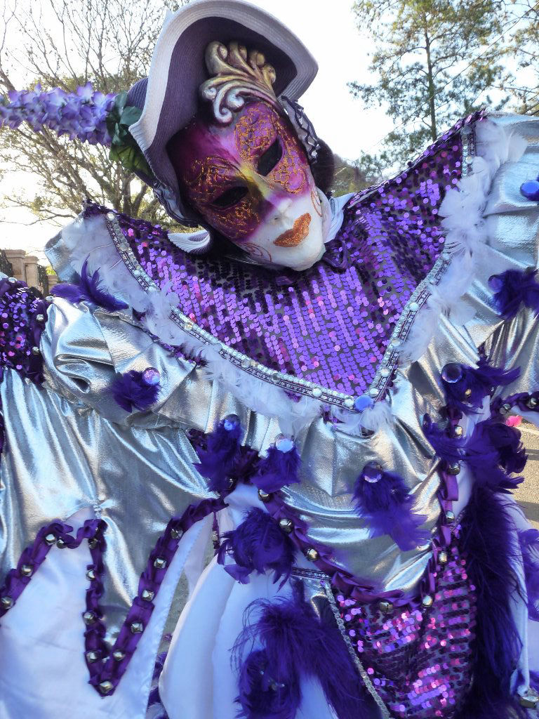 Carnaval Vegano 2014