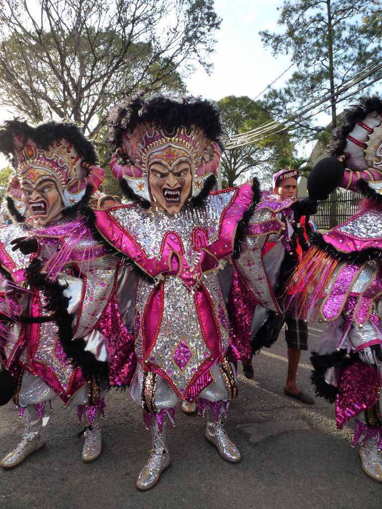 Carnaval Vegano 2014