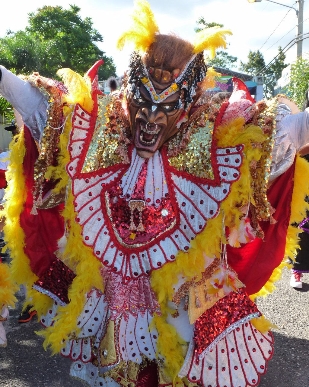 Carnaval Vegano 2015