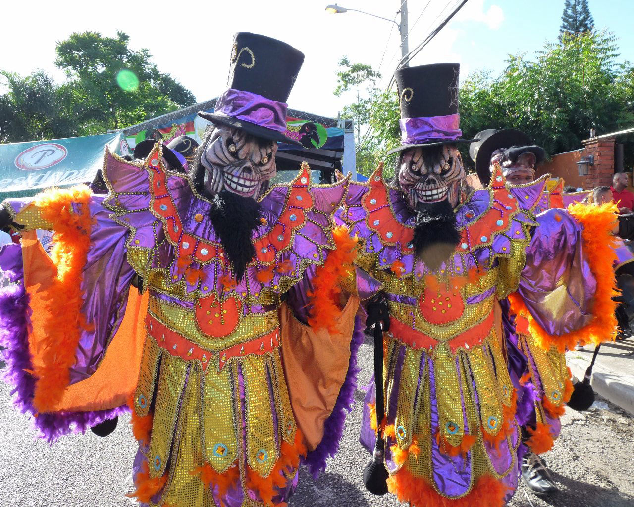 Carnaval Vegano 2015