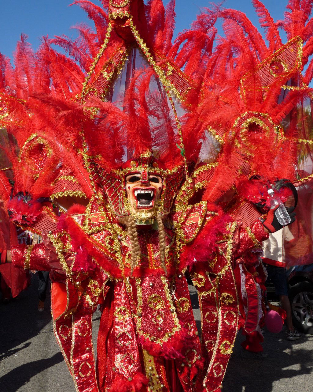 Carnaval Vegano 2015