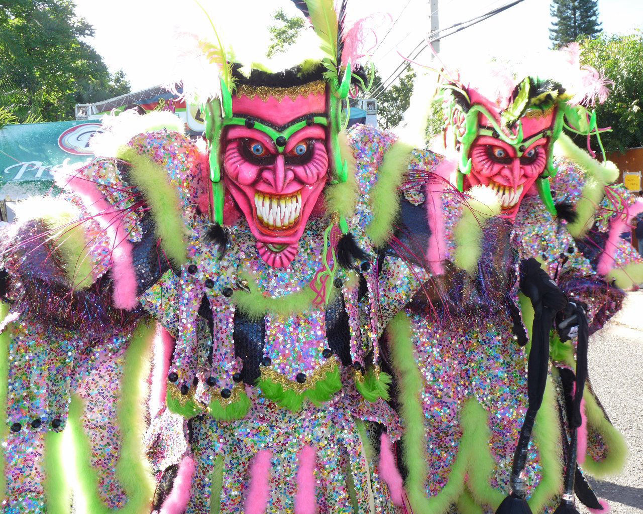 Carnaval Vegano 2015
