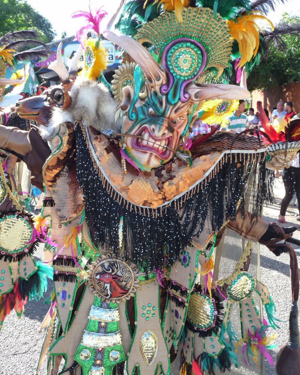 Carnaval Vegano 2015