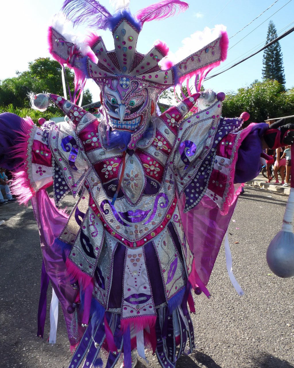 Carnaval Vegano 2015