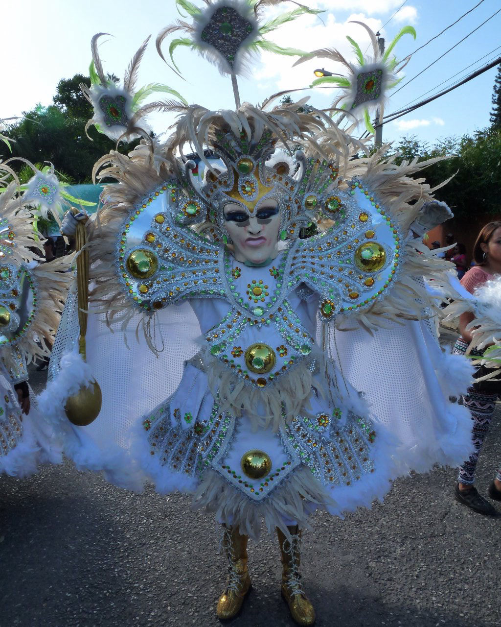 Carnaval Vegano 2015