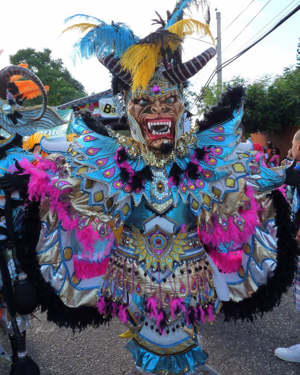 Carnaval Vegano 2015