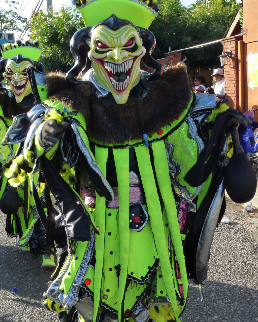 Carnaval Vegano 2015