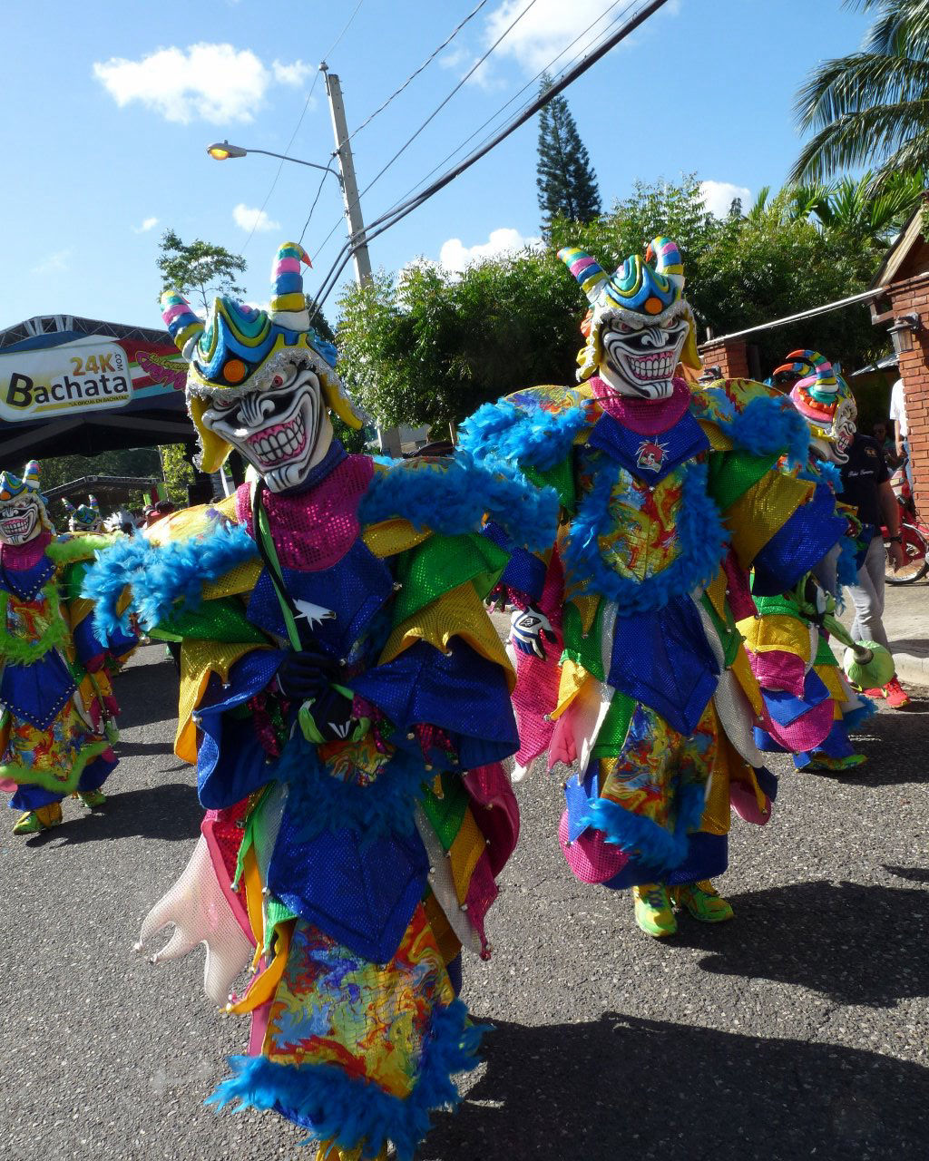 Carnaval Vegano 2015
