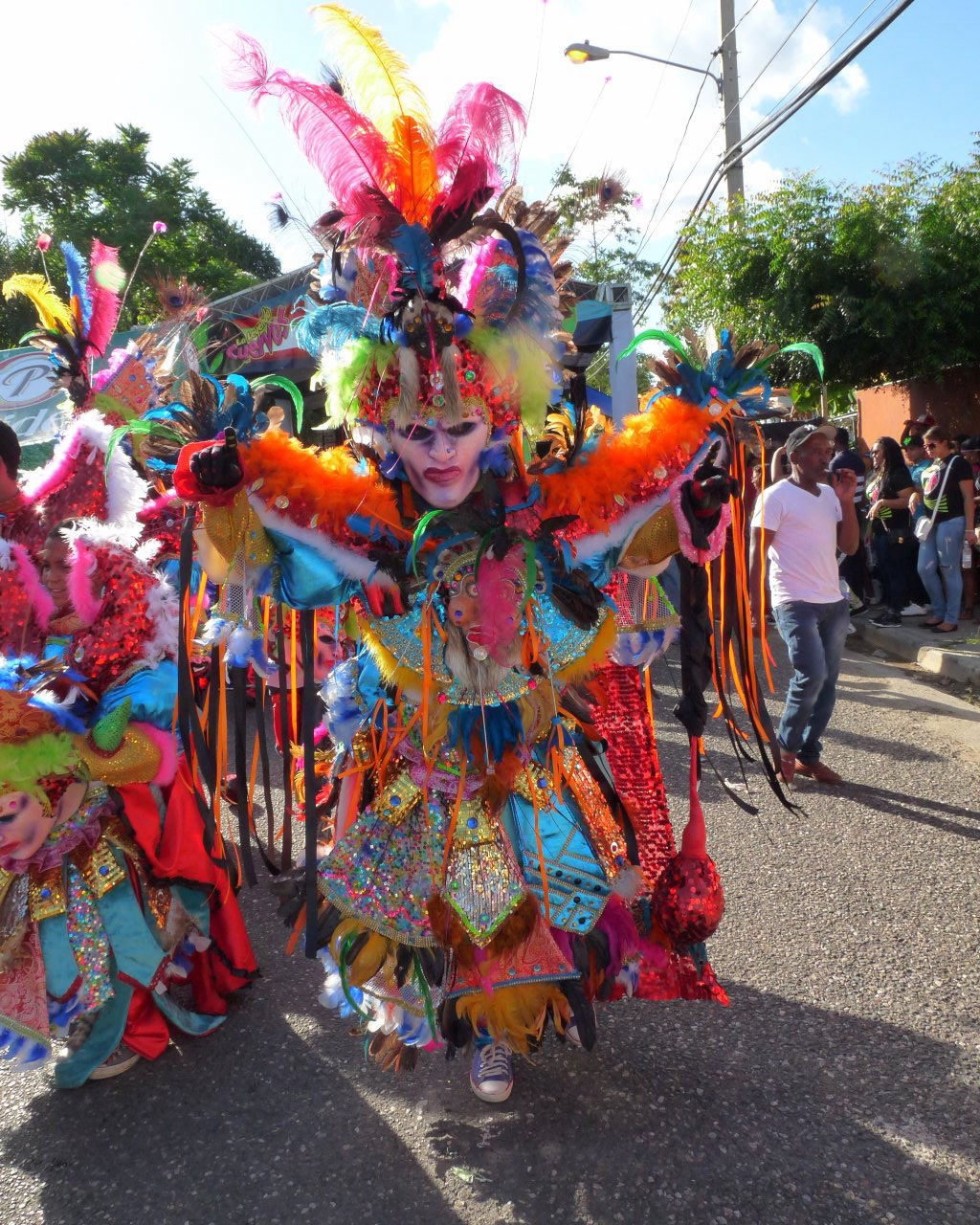 Carnaval Vegano 2015