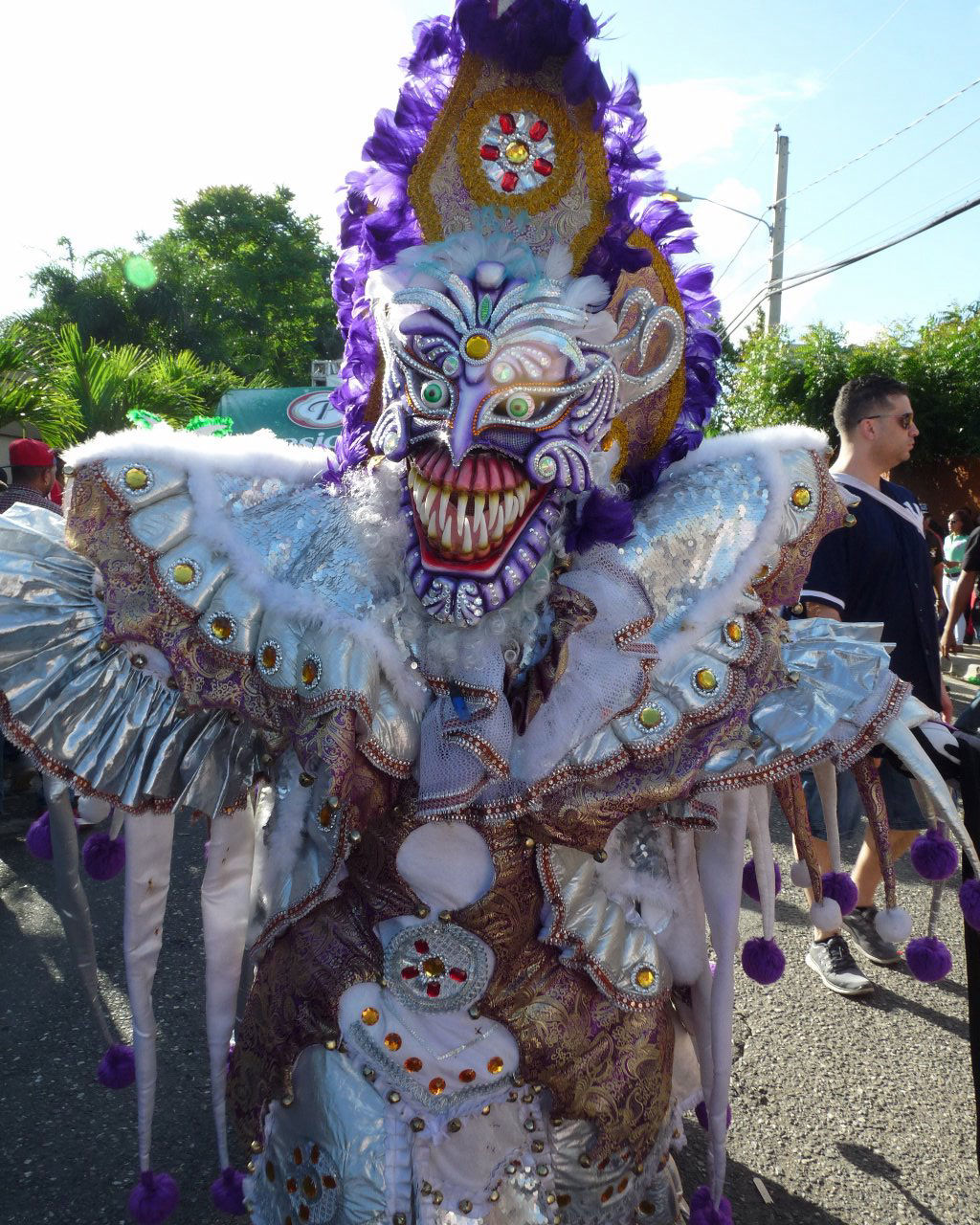 Carnaval Vegano 2015