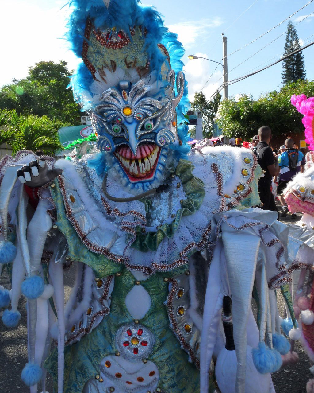 Carnaval Vegano 2015