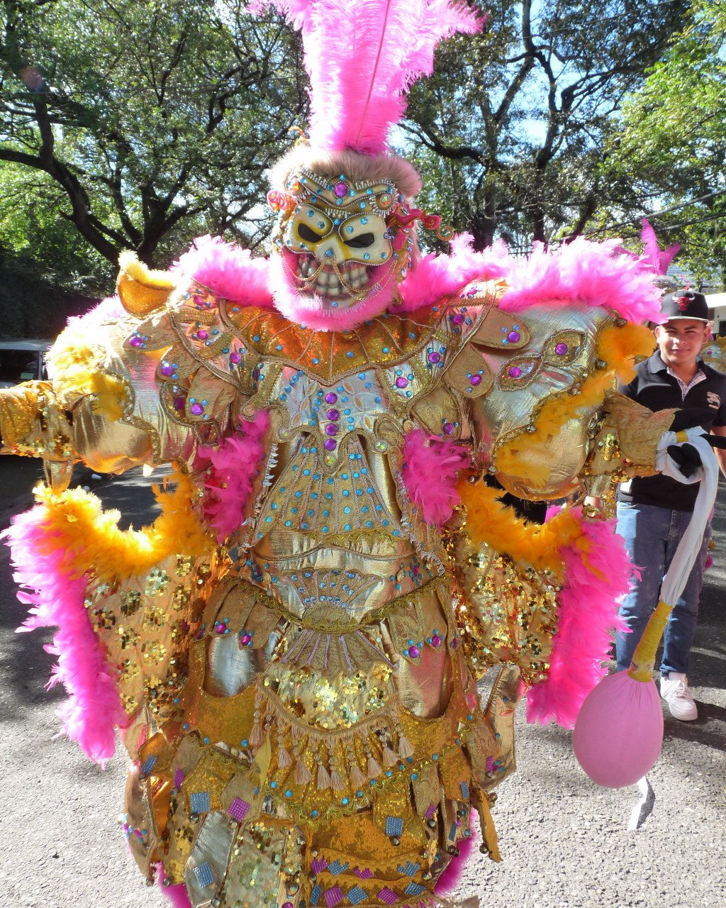 Carnaval Vegano 2015