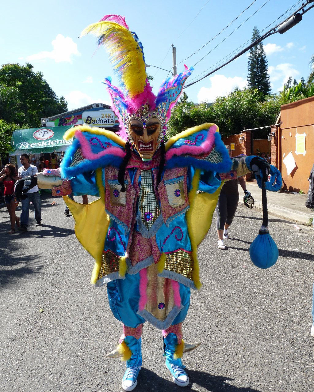 Carnaval Vegano 2015