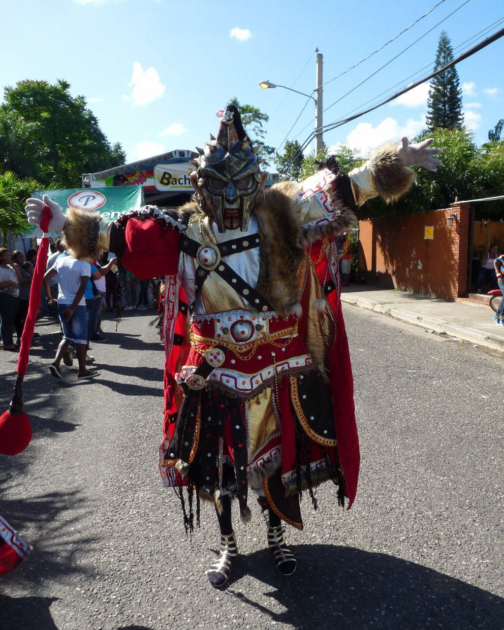 Carnaval Vegano 2015