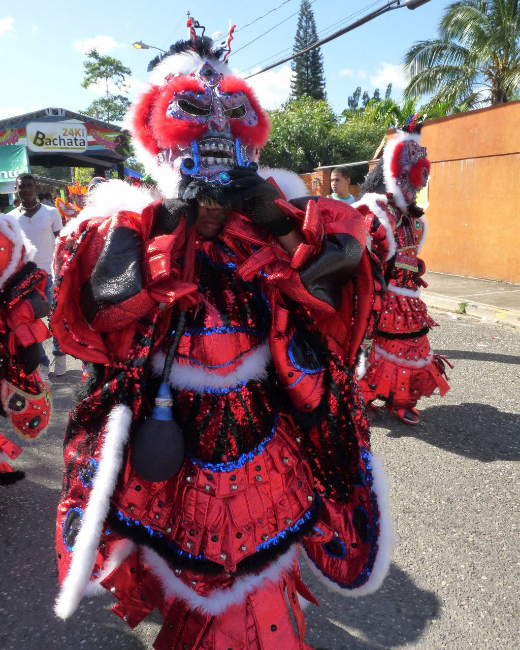 Carnaval Vegano 2015