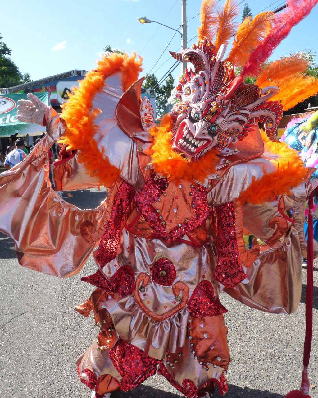 Carnaval Vegano 2015