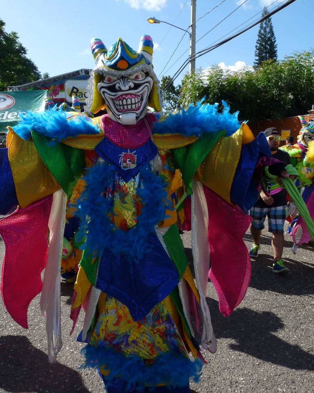 Carnaval Vegano 2015