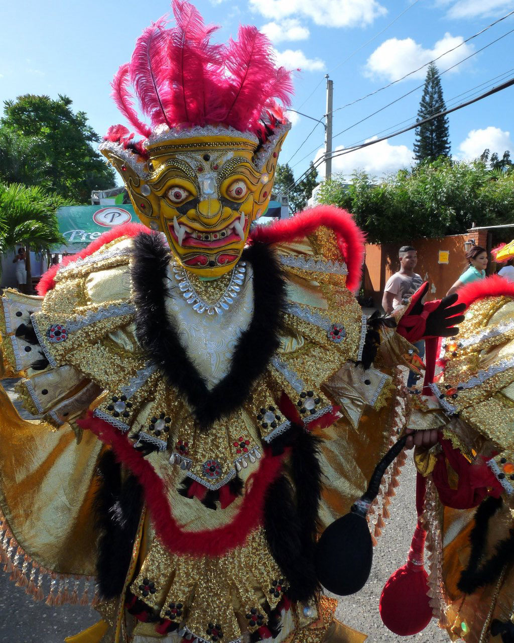 Carnaval Vegano 2015