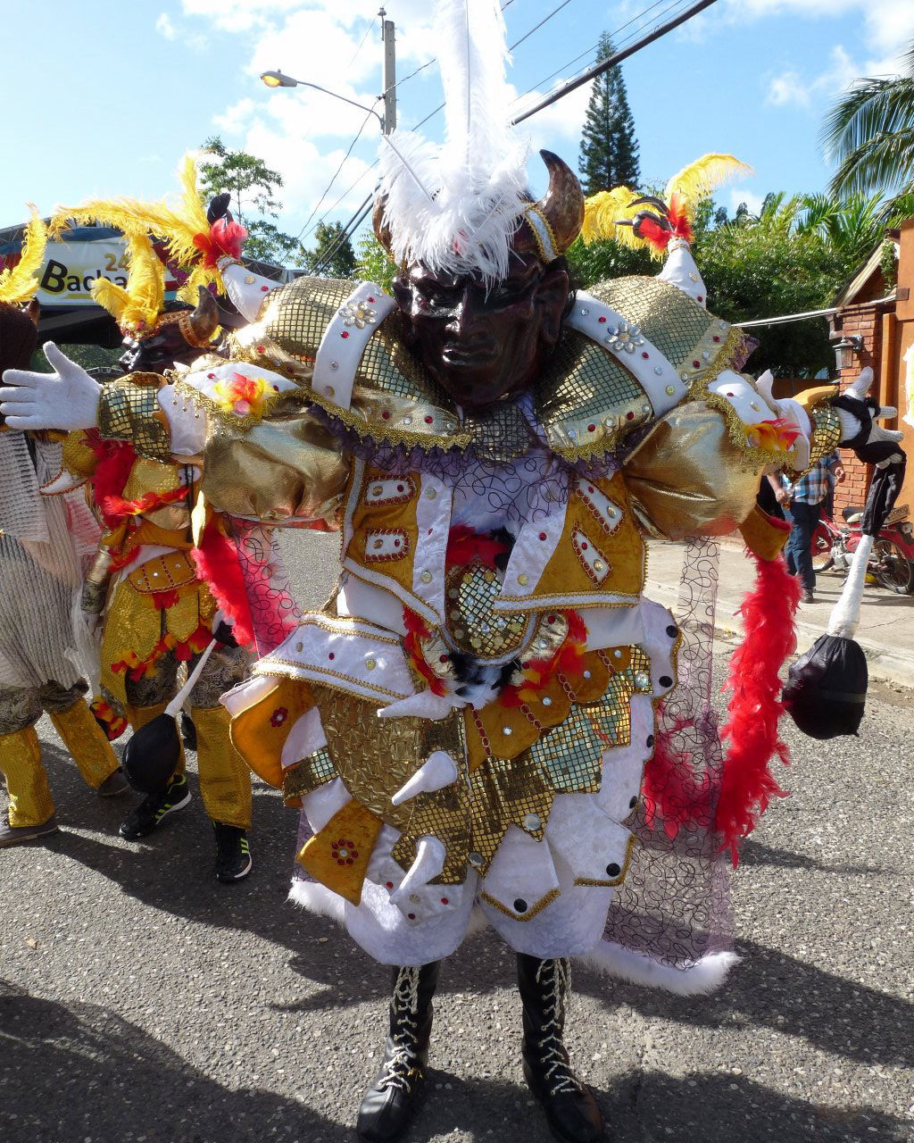 Carnaval Vegano 2015