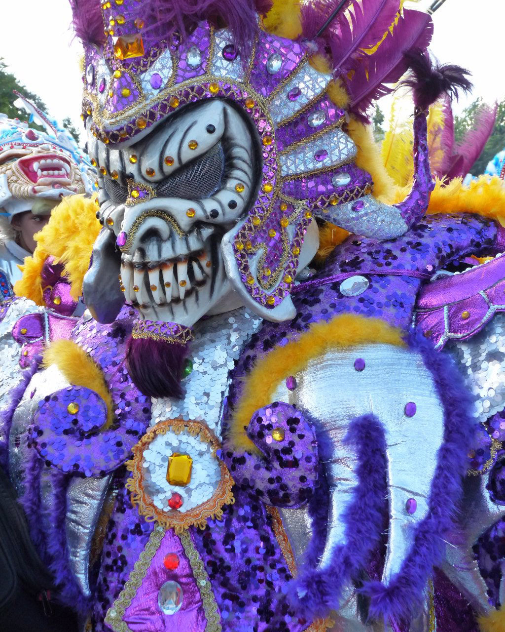 Carnaval Vegano 2015