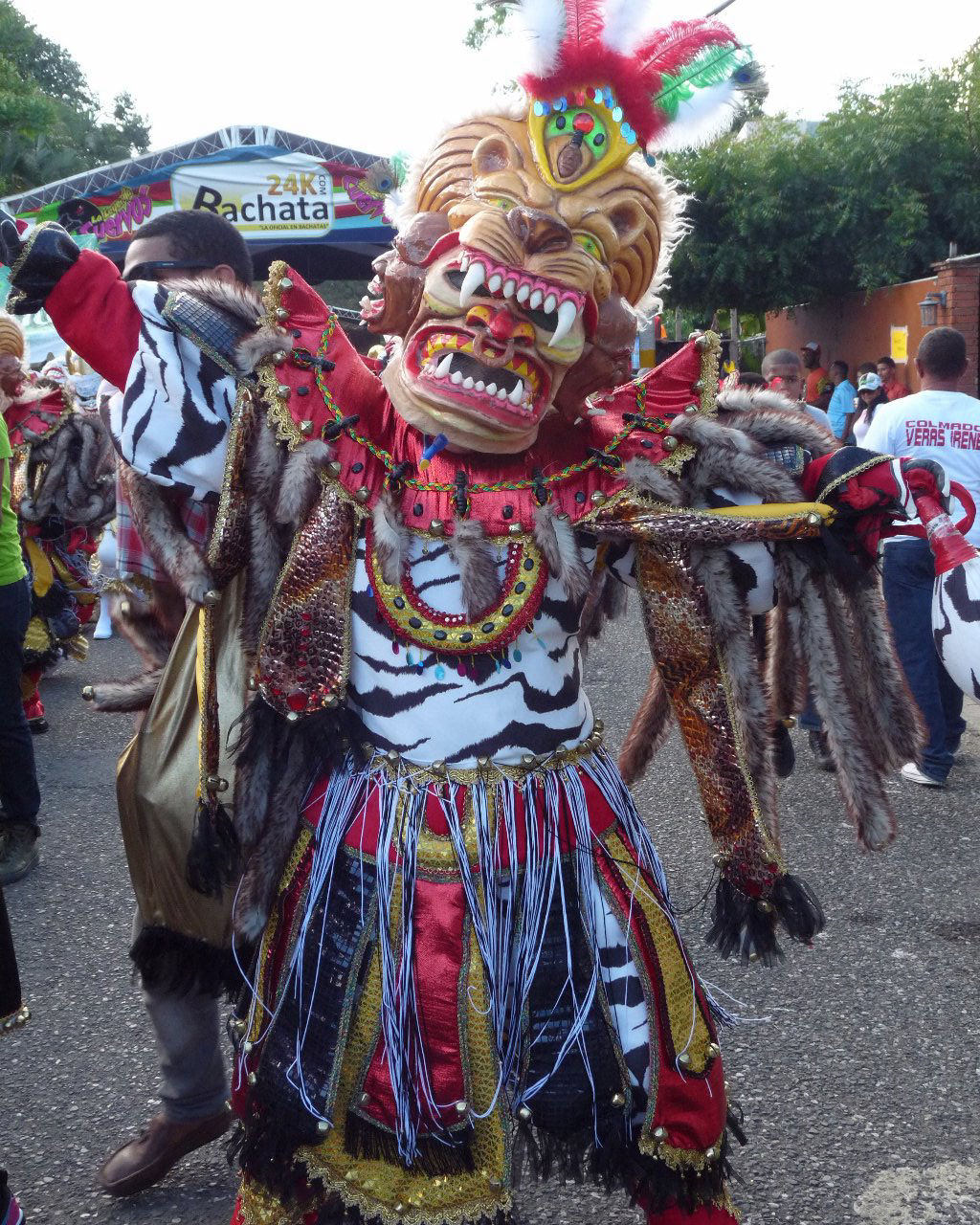 Carnaval Vegano 2015