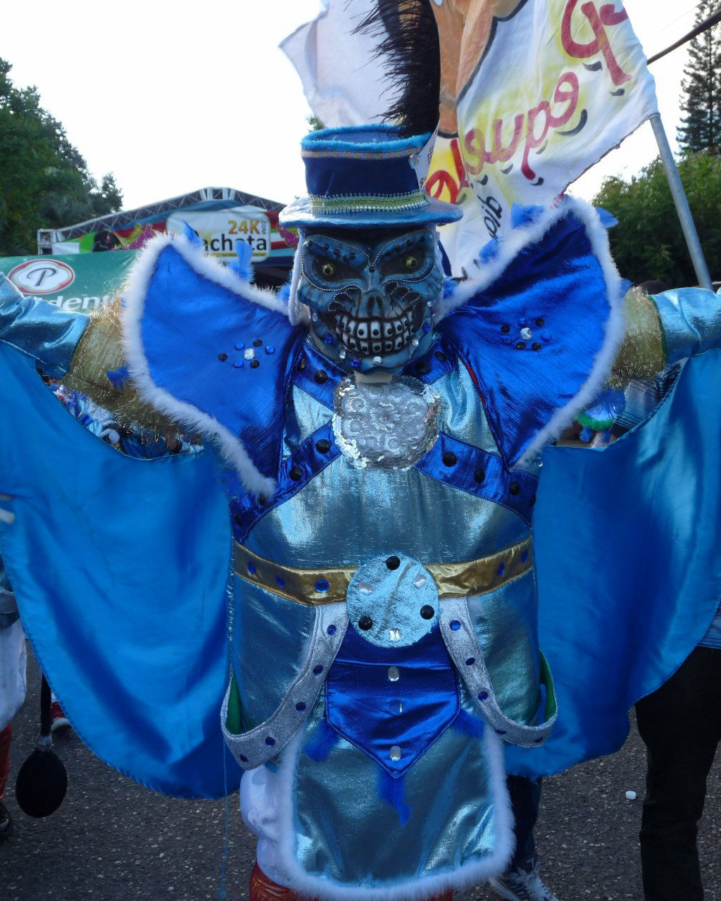 Carnaval Vegano 2015