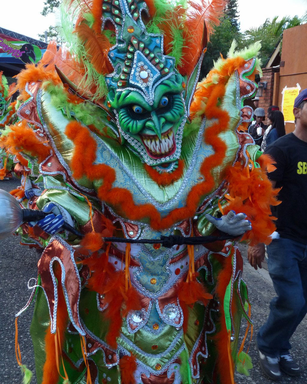 Carnaval Vegano 2015