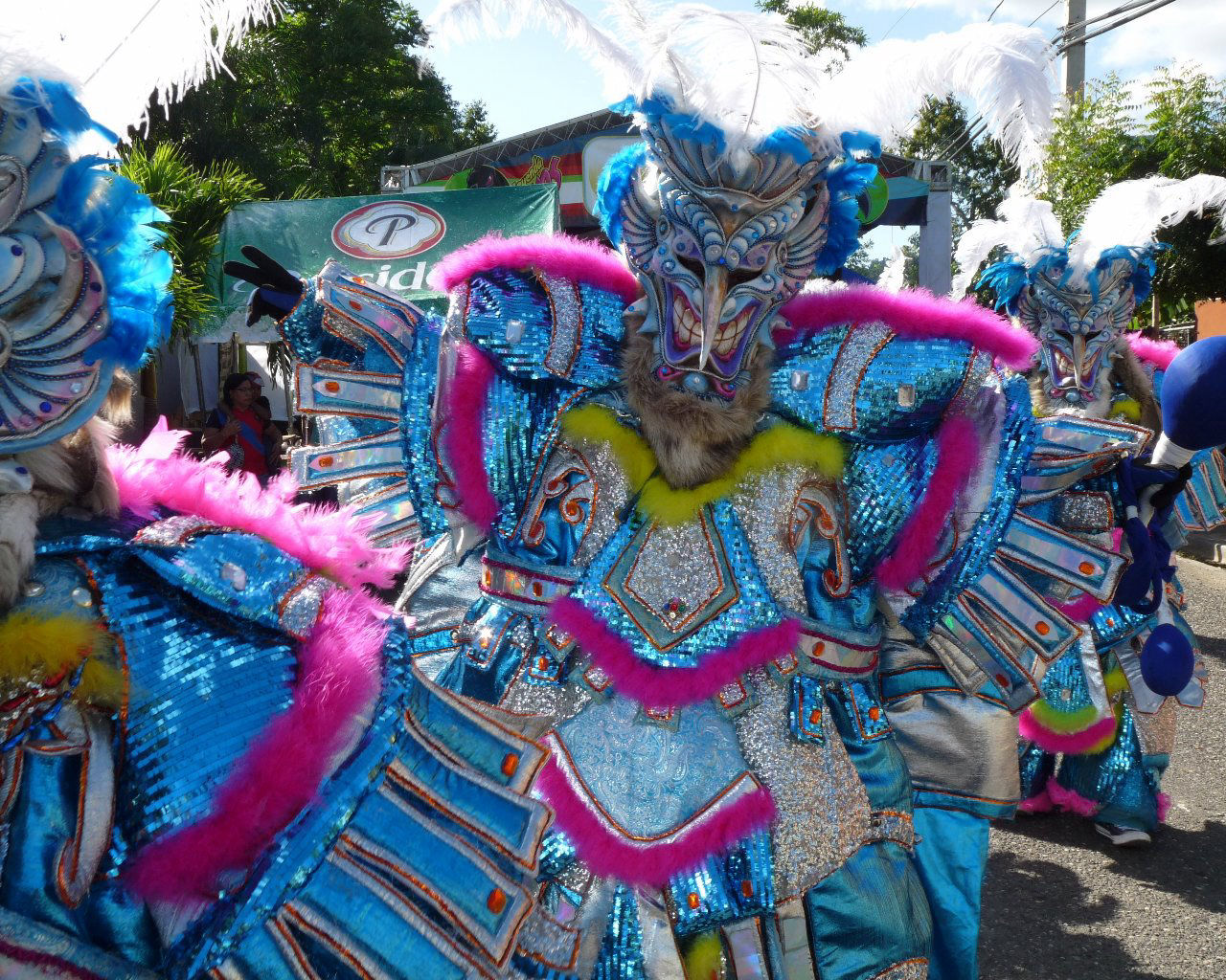 Carnaval Vegano 2015
