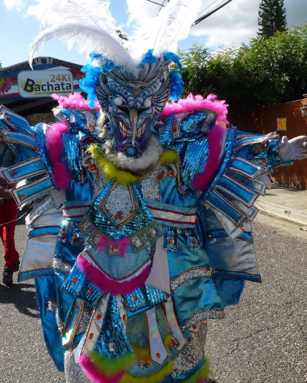 Carnaval Vegano 2015