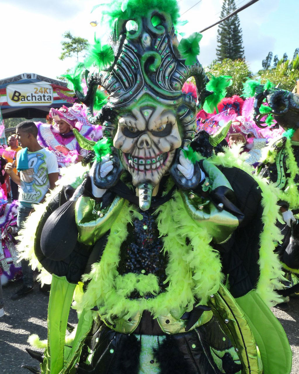 Carnaval Vegano 2015