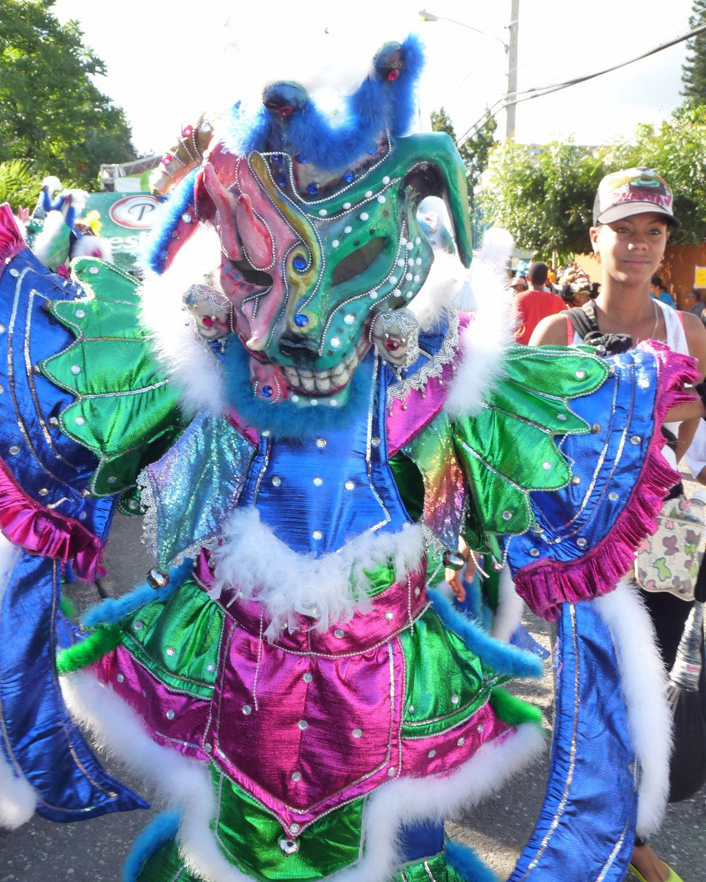 Carnaval Vegano 2015