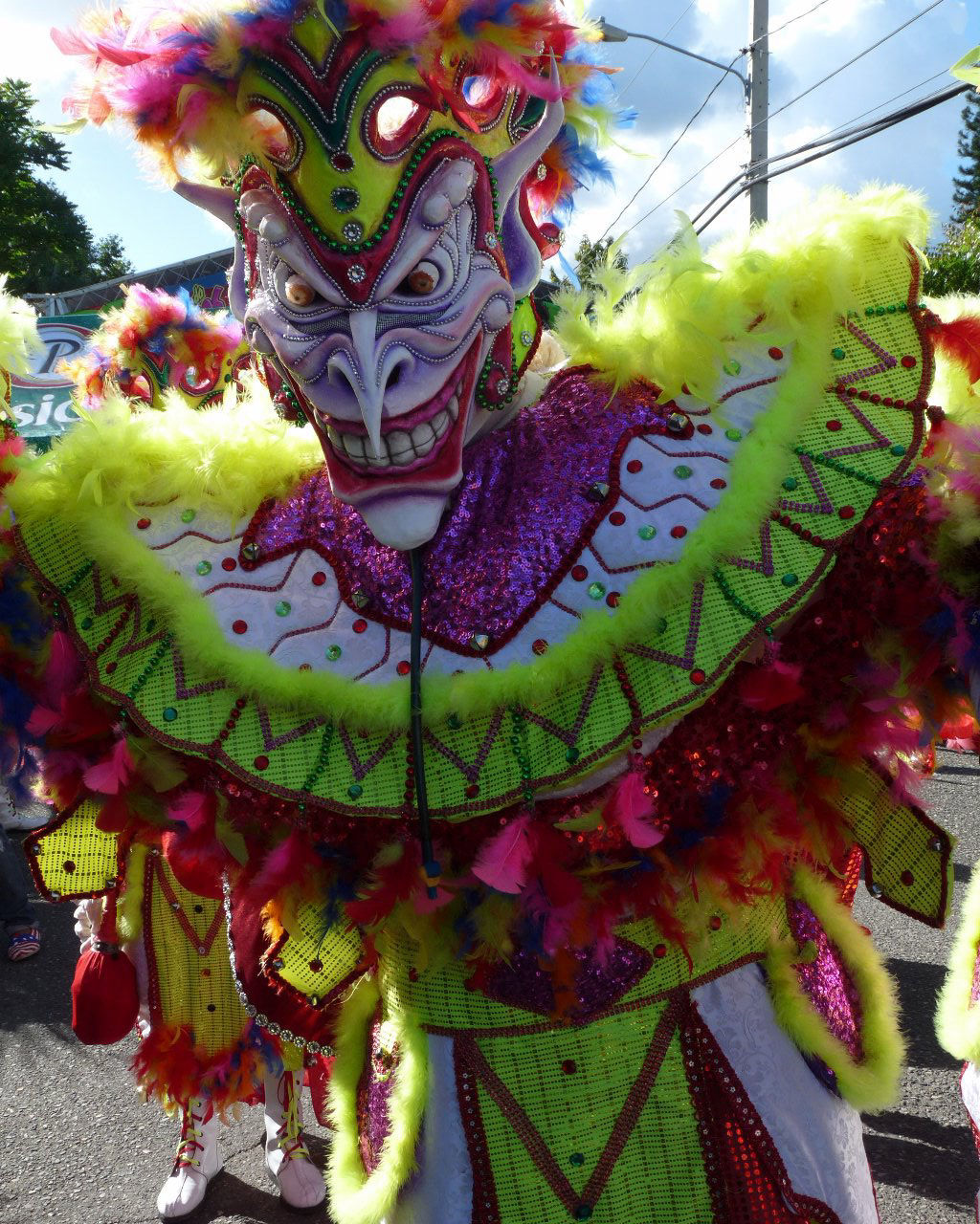 Carnaval Vegano 2015