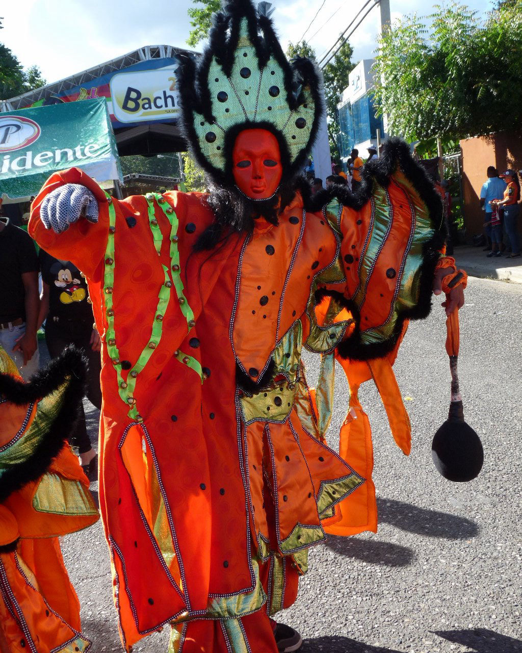 Carnaval Vegano 2015