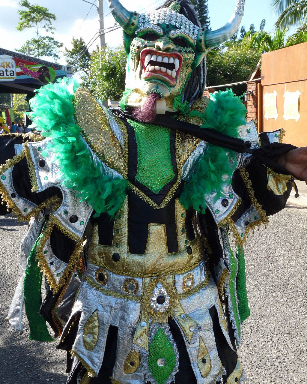 Carnaval Vegano 2015