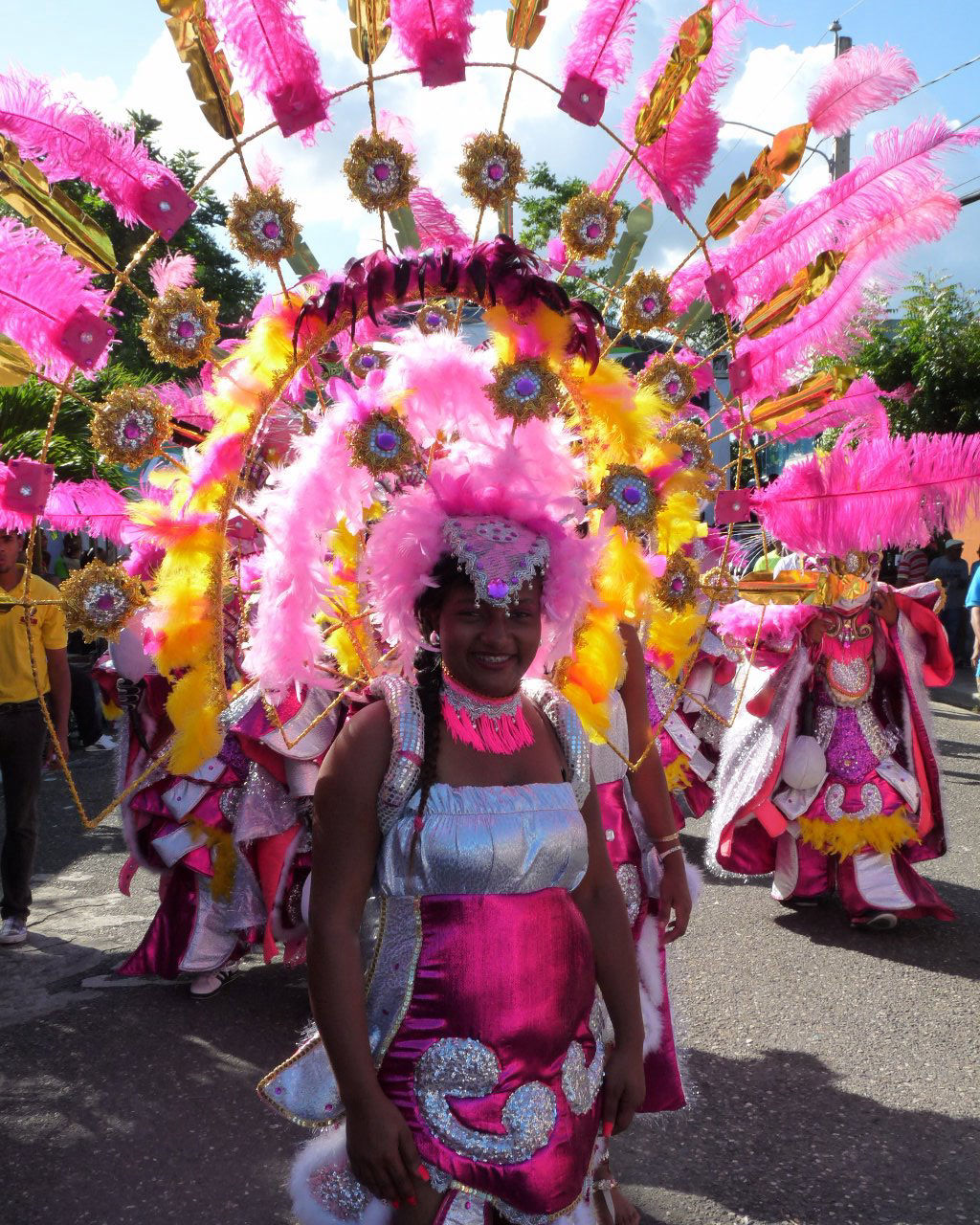 Carnaval Vegano 2015