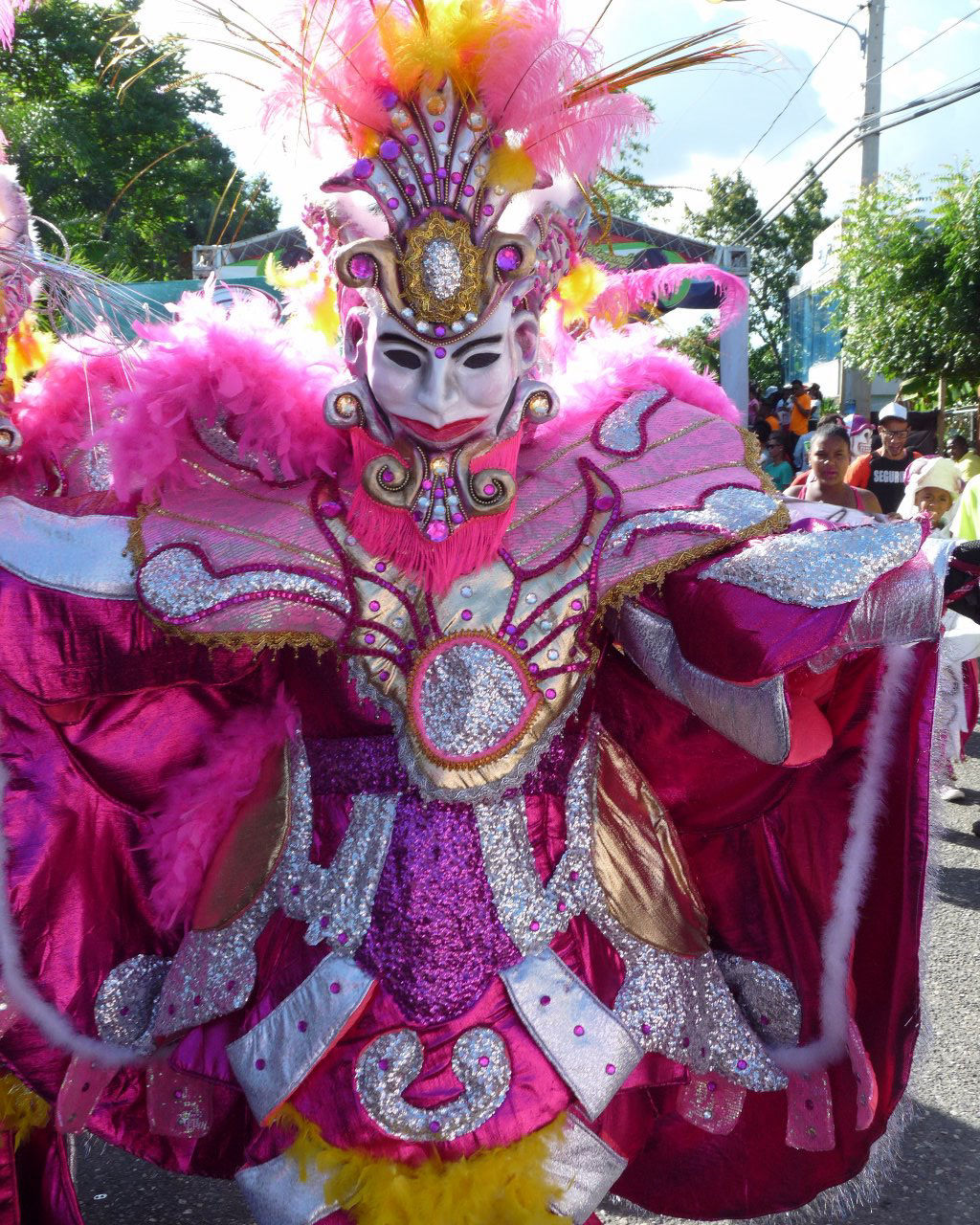 Carnaval Vegano 2015