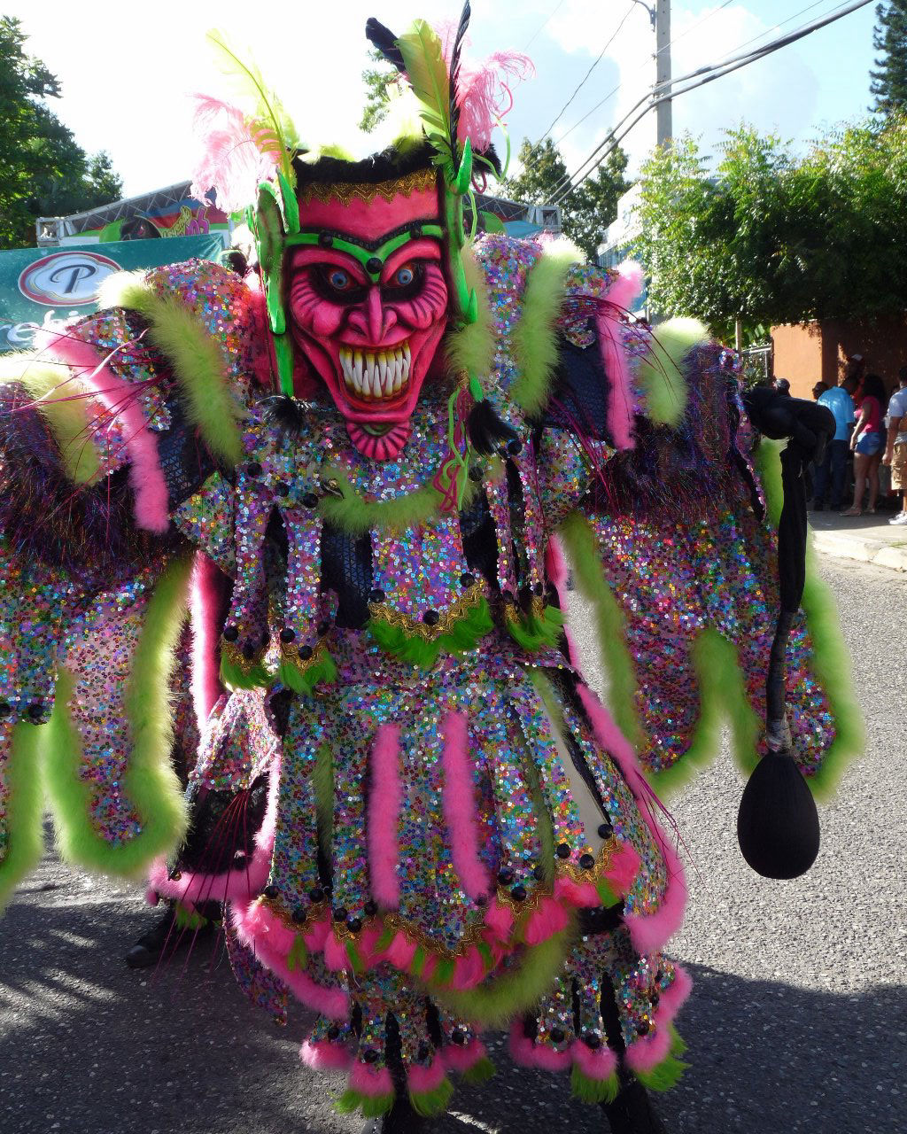 Carnaval Vegano 2015