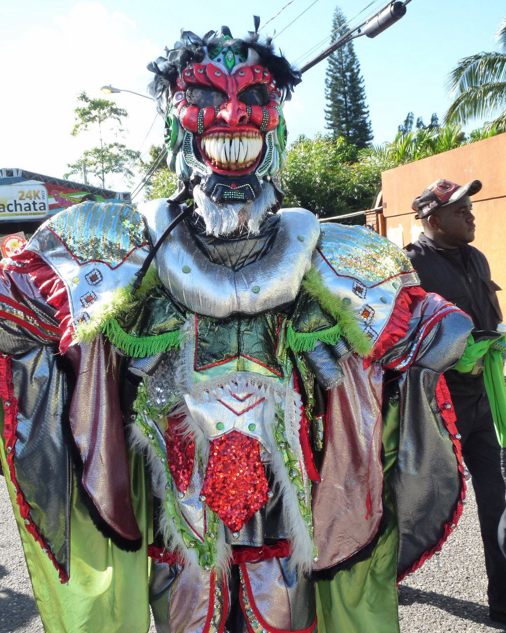 Carnaval Vegano 2015