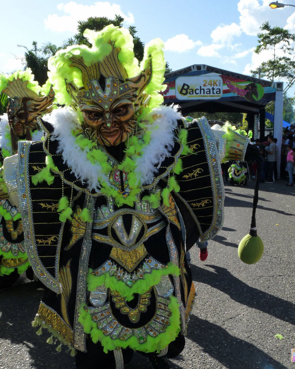 Carnaval Vegano 2015