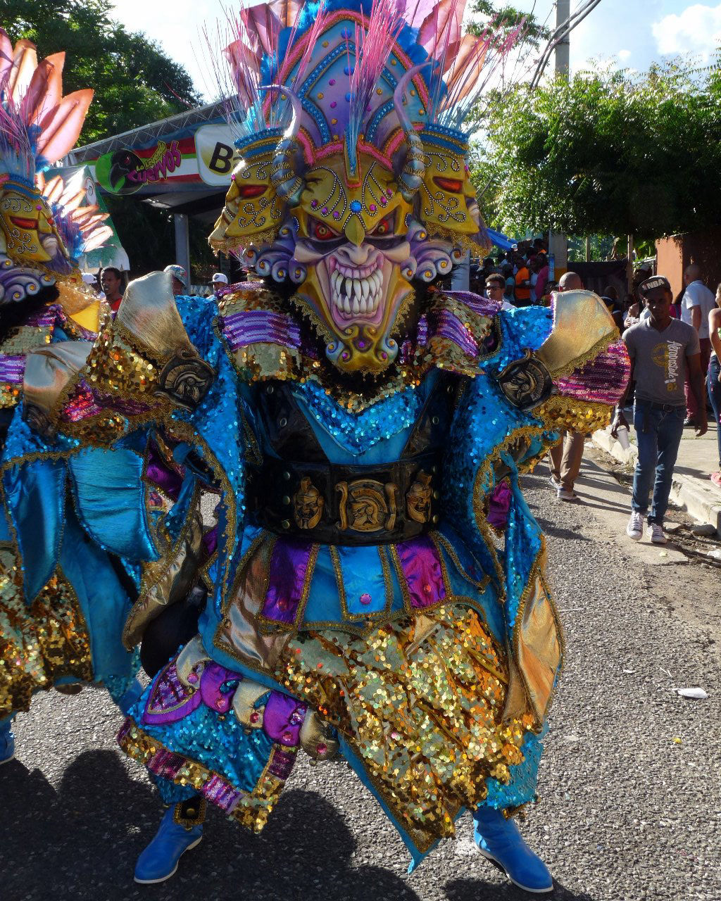 Carnaval Vegano 2015