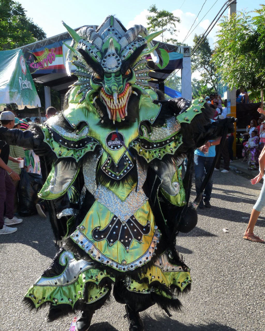 Carnaval Vegano 2015