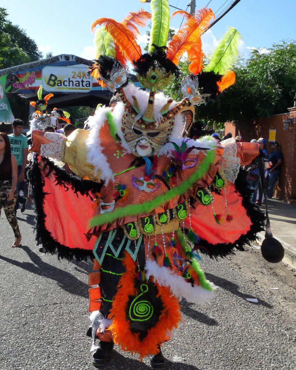 Carnaval Vegano 2015