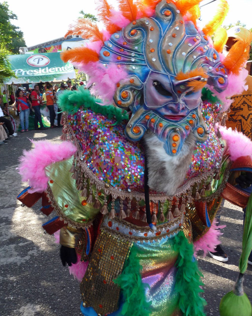 Carnaval Vegano 2015