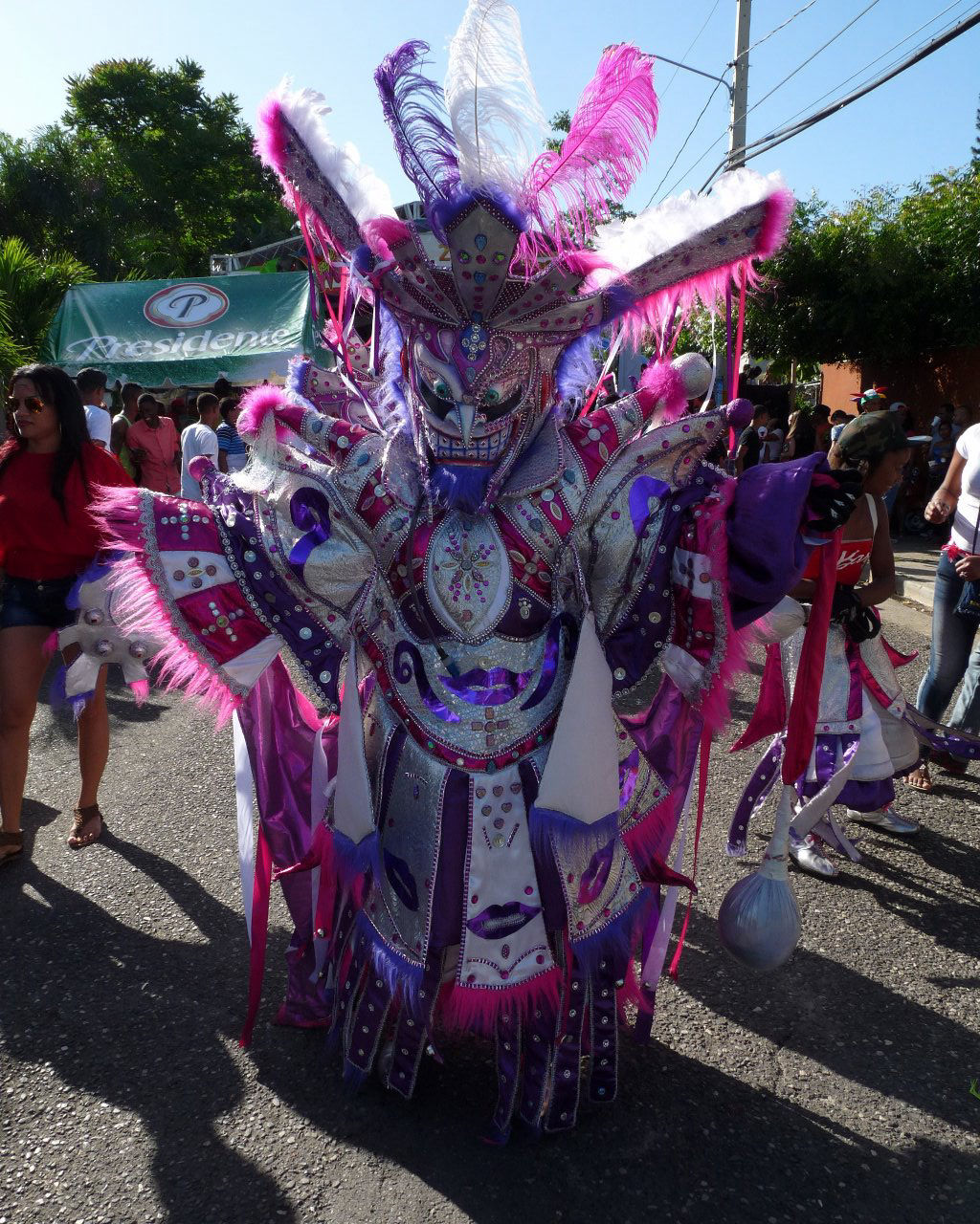Carnaval Vegano 2015