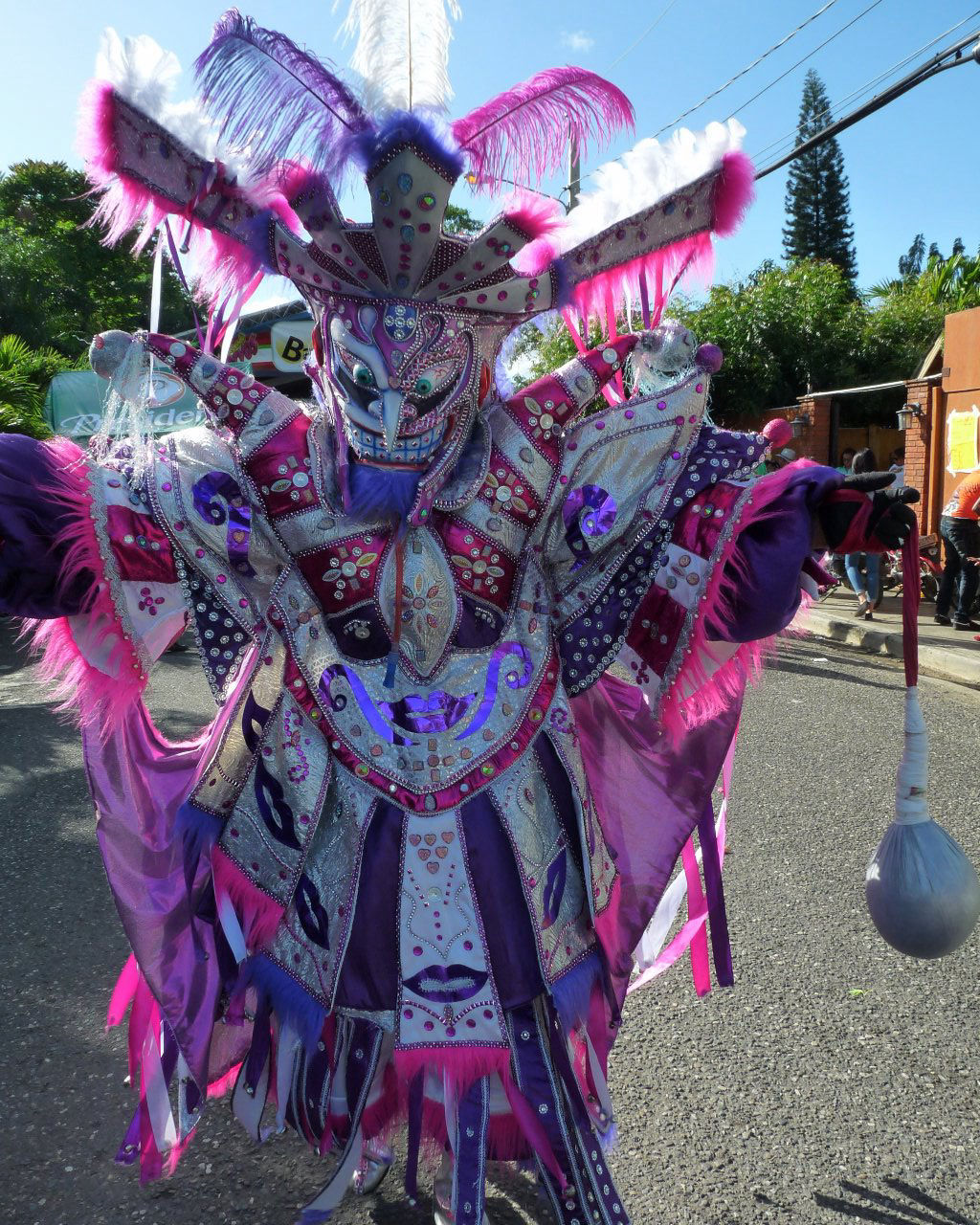 Carnaval Vegano 2015
