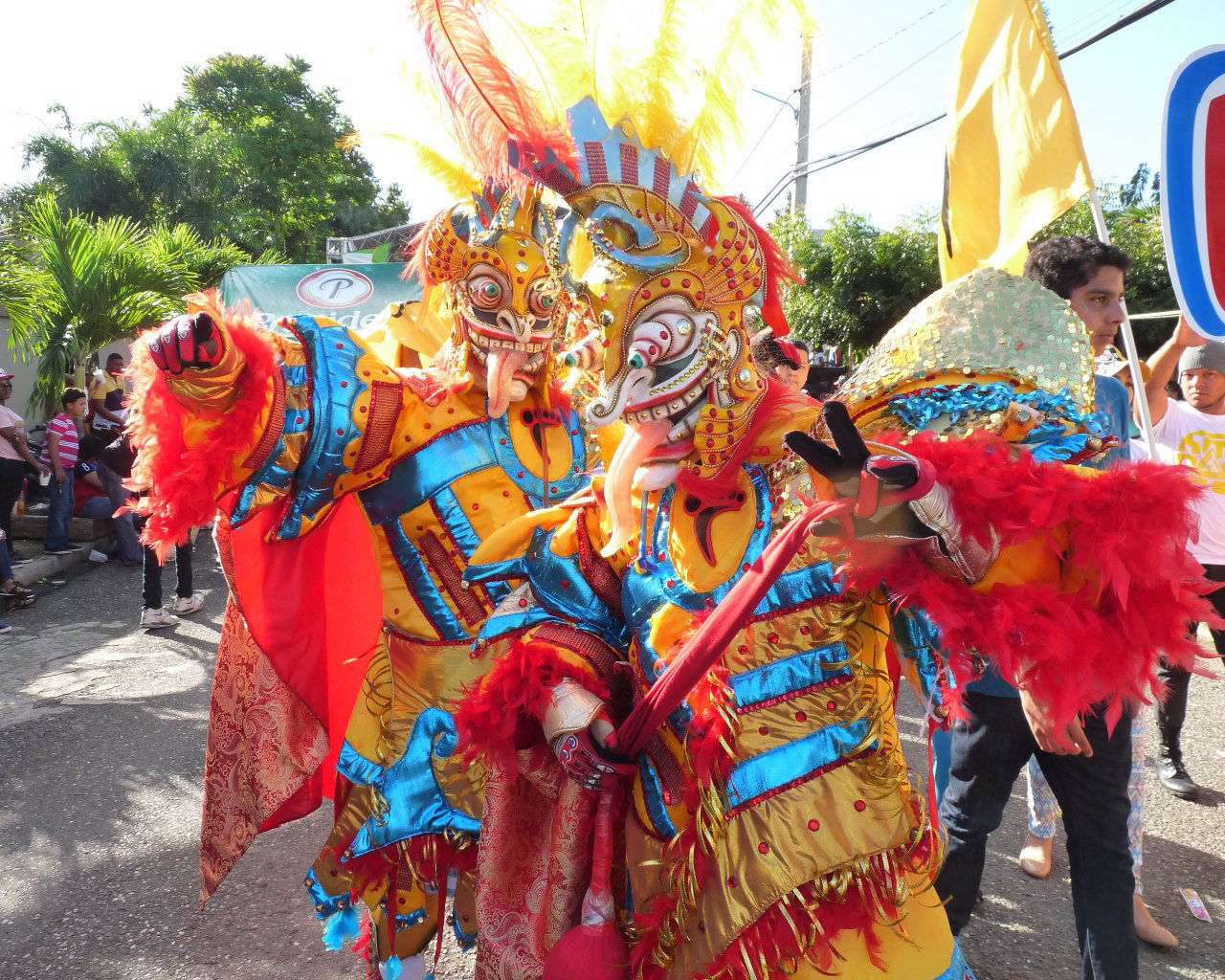 Carnaval Vegano 2015